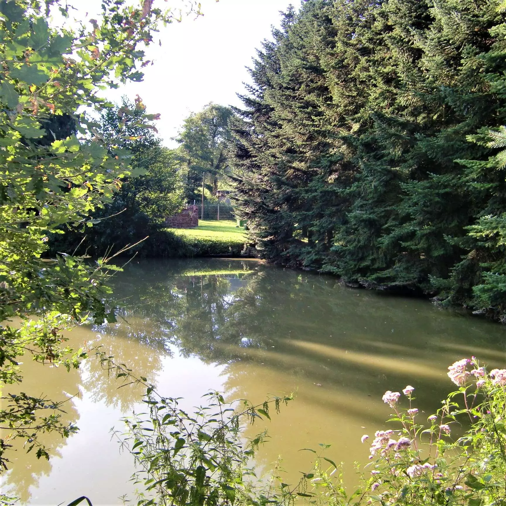 Boerboel Garten See Wald Boerboel Garten See Wald