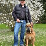 1. Platz Boerboel Budgess 31.03.24 - 10 Jahre roter Boerboel Budgess 1. Platz im Alter von 10 Jahren