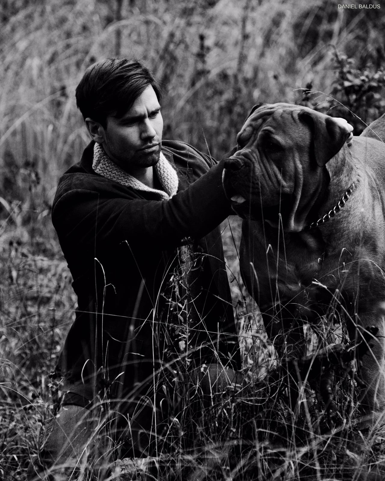 Boerboel Budgess Foto Model Alex Keen Honey Dschungelcamp Boerboel Budgess Foto Model Alex Keen Honey Dschungelcamp