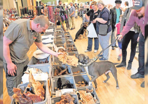 Leckerli für pitbull am Messestand Leckerli für pitbull am Messestand