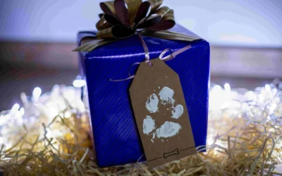 Weihnachtsgeschenk-Ideen für den Boerboel und für große Hunde